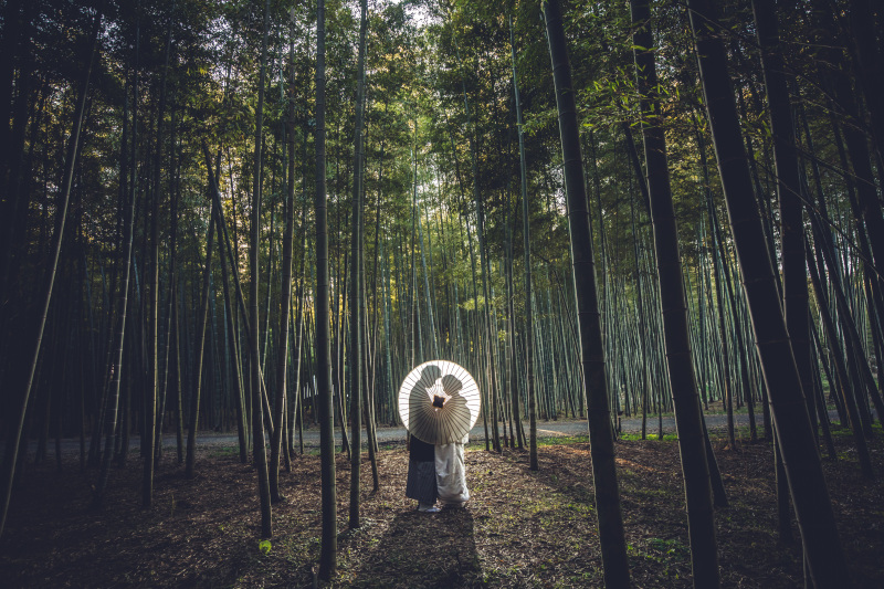 5月6月和装 洋装2着プラン 143000→128000お好きな和装衣装 洋装衣装を選んで撮影(衣装差額なし)