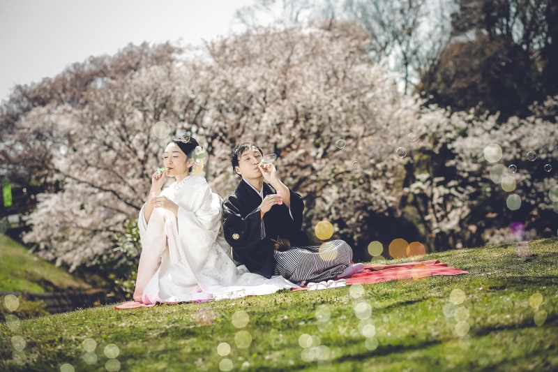 3/15~4/10頃　桜プラン1着＋スタジオ1着　合計お好きな2着（衣装差額なし）89,000円レタッチ済データ130カット付き