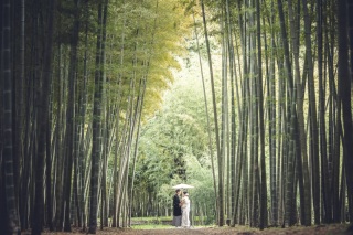 早割１月撮影★圧巻の竹林と日本庭園の２ヶ所で撮影♪和装弐点プラン　お好きな和装２着（衣裳差額無し）・美容・撮影データ２３０枚付