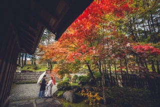 紅葉撮影（11/1～11/15)♪早割5組様２０Pアルバムプレゼント田母沢御用邸で撮影★和装弐点プラン衣裳（差額無し）・データ付