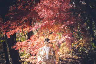 紅葉日本庭園と緑の若竹二箇所豪華ロケ撮影　150,000⇨120,000！　データ２５０カット付
