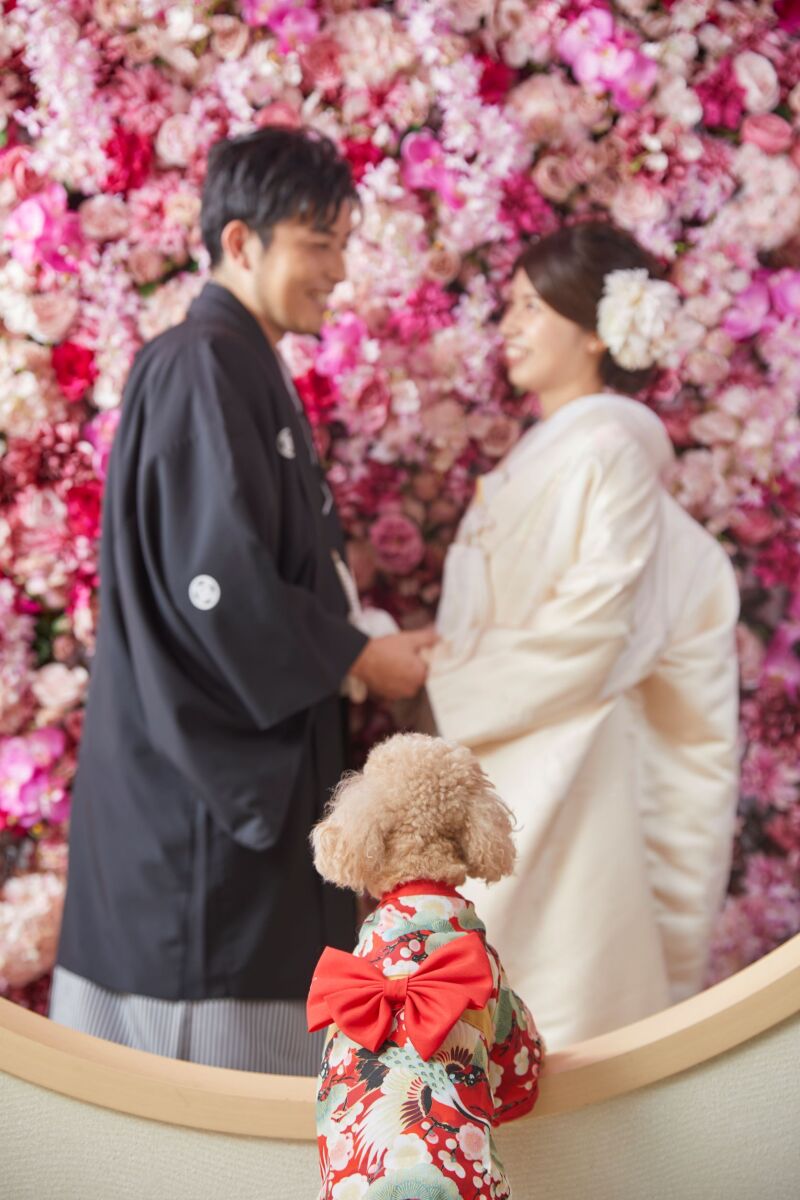 studio PHOTO PARK 東京_ペットと一緒に撮影できる