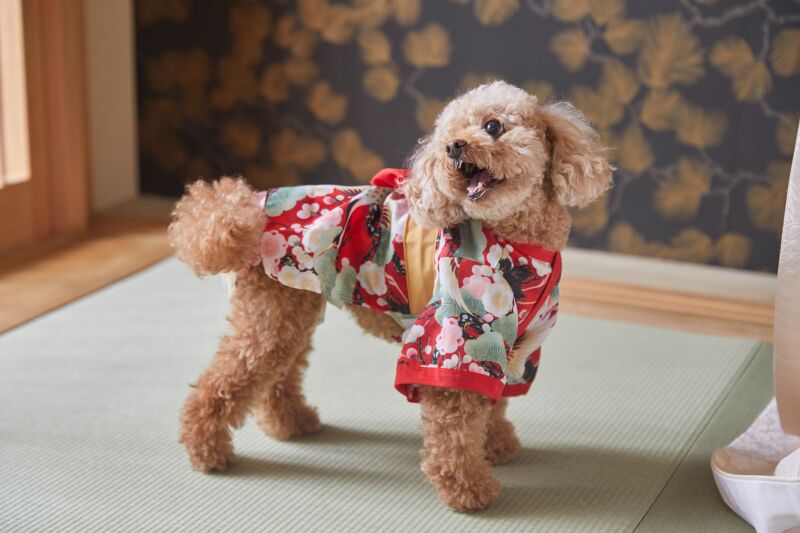 豊富なスタジオセットで安心のサポート体制