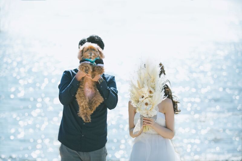 studio PHOTO PARK 東京_ペットと一緒に撮影できる