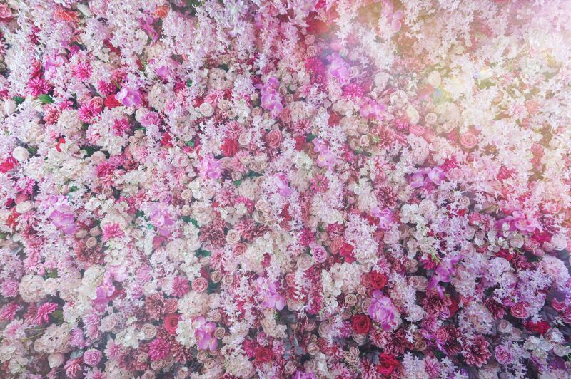 セットスタジオなのに撮り放題？