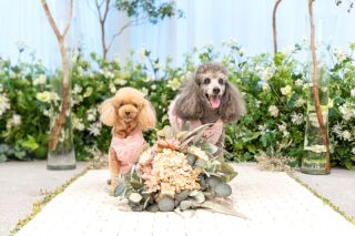 studio PHOTO PARK 東京