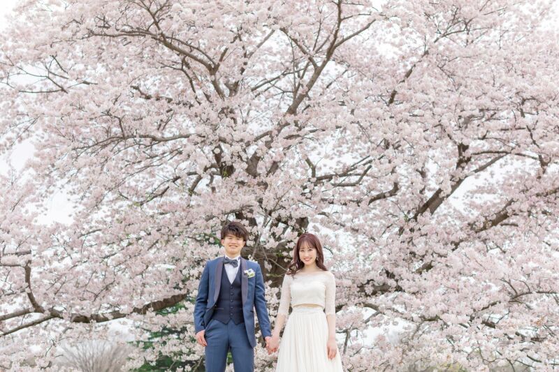 人気の季節でも撮影可能♪