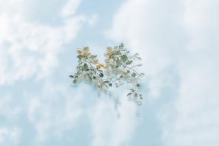 イヤリング　No.63