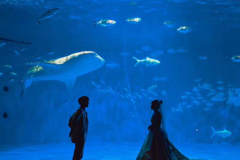 いおワールドかごしま水族館