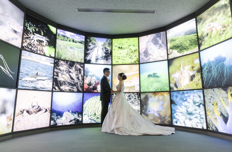 いおワールドかごしま水族館