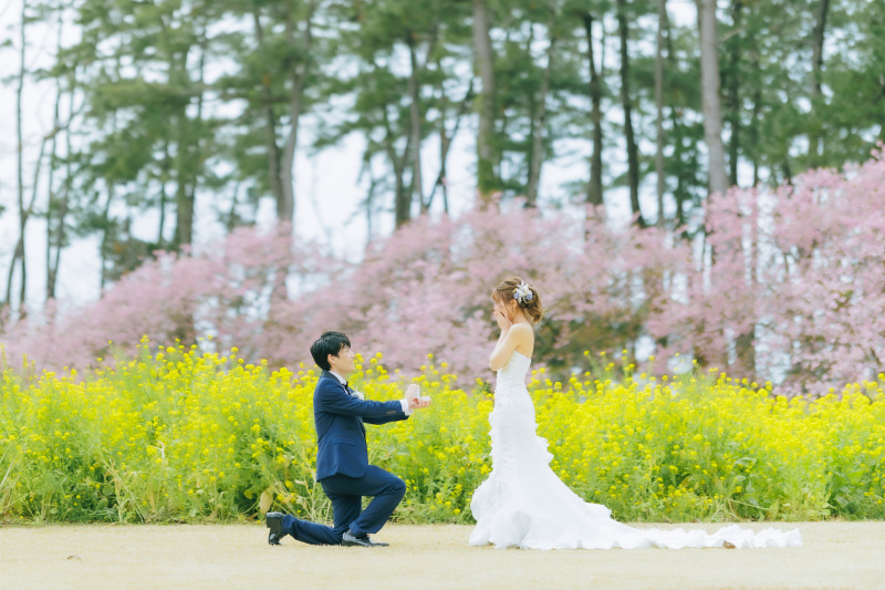 プロポーズシーン