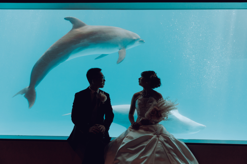 いおワールドかごしま水族館