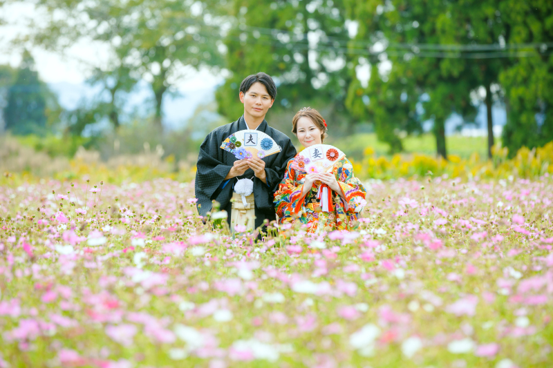 コスモス畑で✿