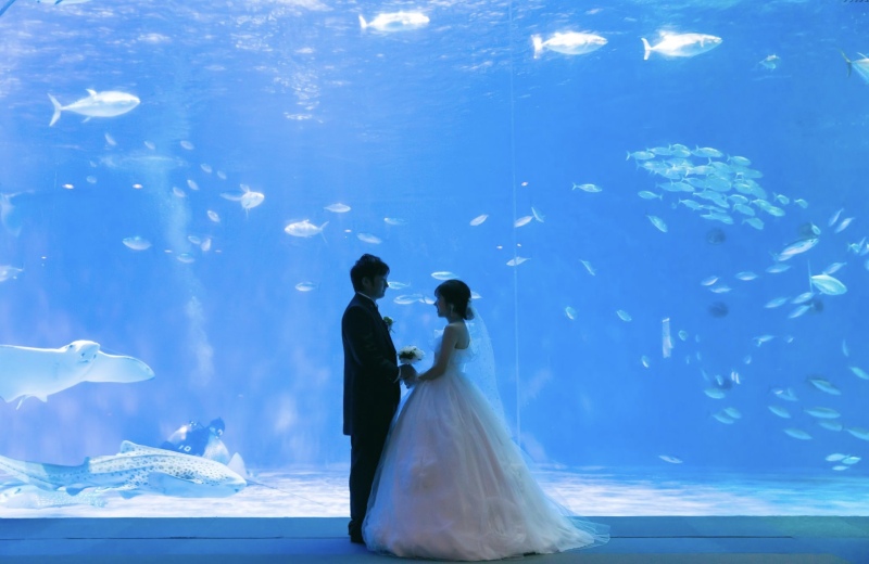 3万円お得!!【250cut全データ付き!】2着スタジオ&ロケーションフォトプラン (和装・洋装組み合わせは自由!)