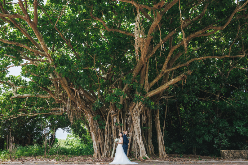 ガジュマルの下でぱしゃり