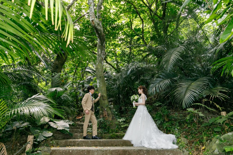 ヤエヤマヤシに移動をして撮影再開です♫
