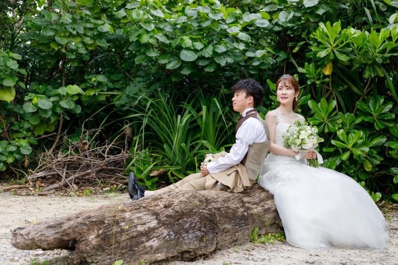 流木に腰掛けて♫