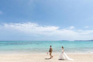 Little Martha 石垣島