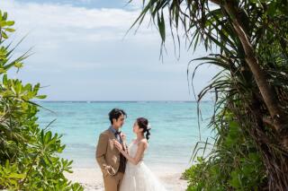 Little Martha 石垣島