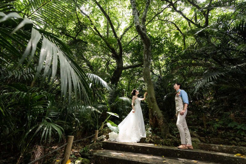 大自然を生かしたドラマティックな撮影も!
