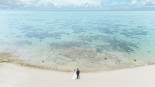 Little Martha 石垣島