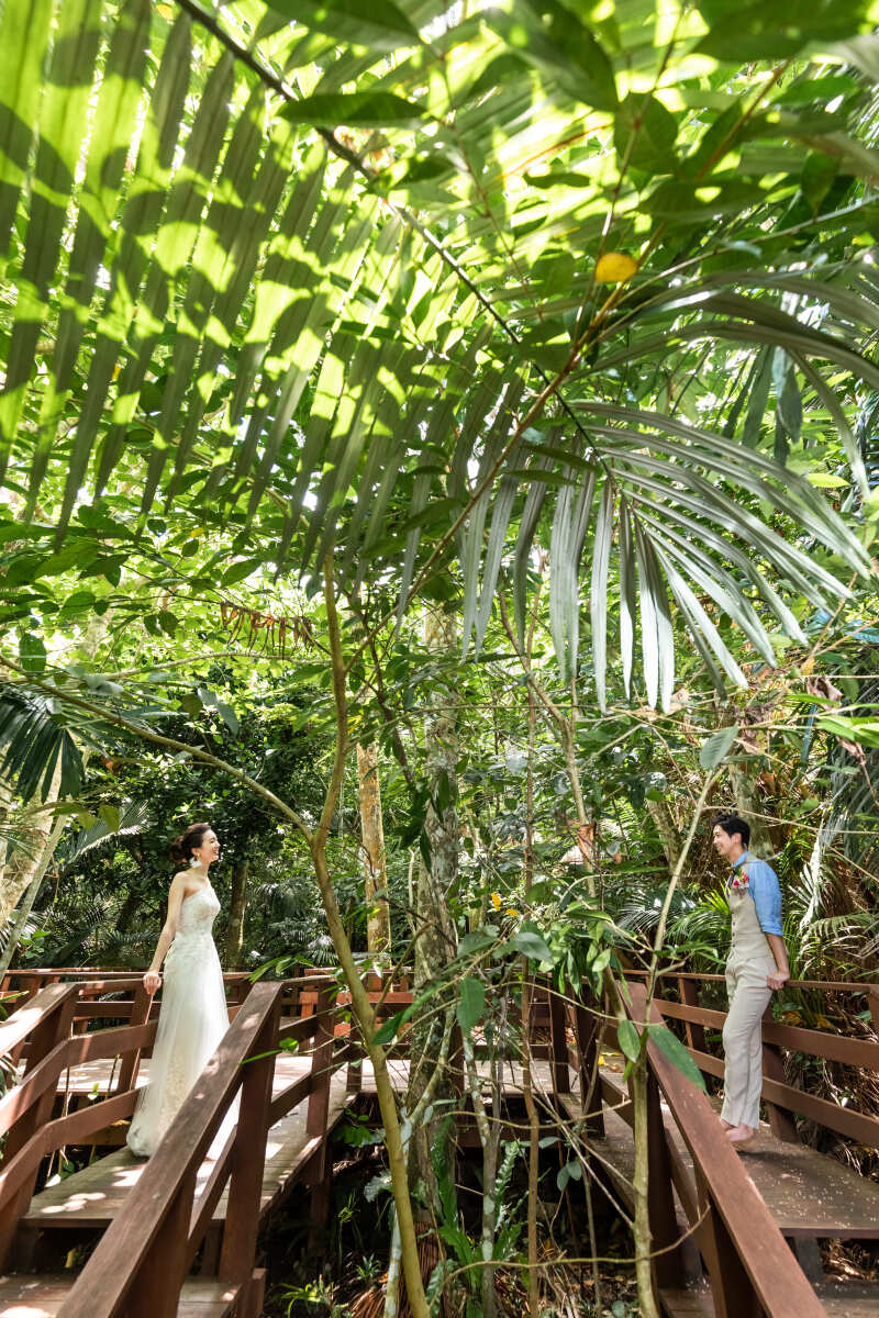 Little Martha 石垣島_ガーデンで撮影できる