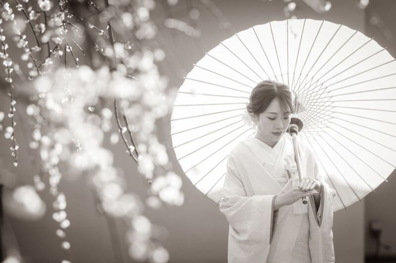 梅の咲いている日本庭園で