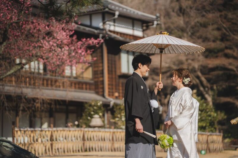 梅が咲き始めてます♪