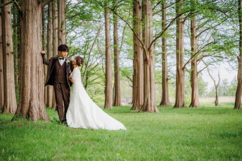 まるで森の中・・