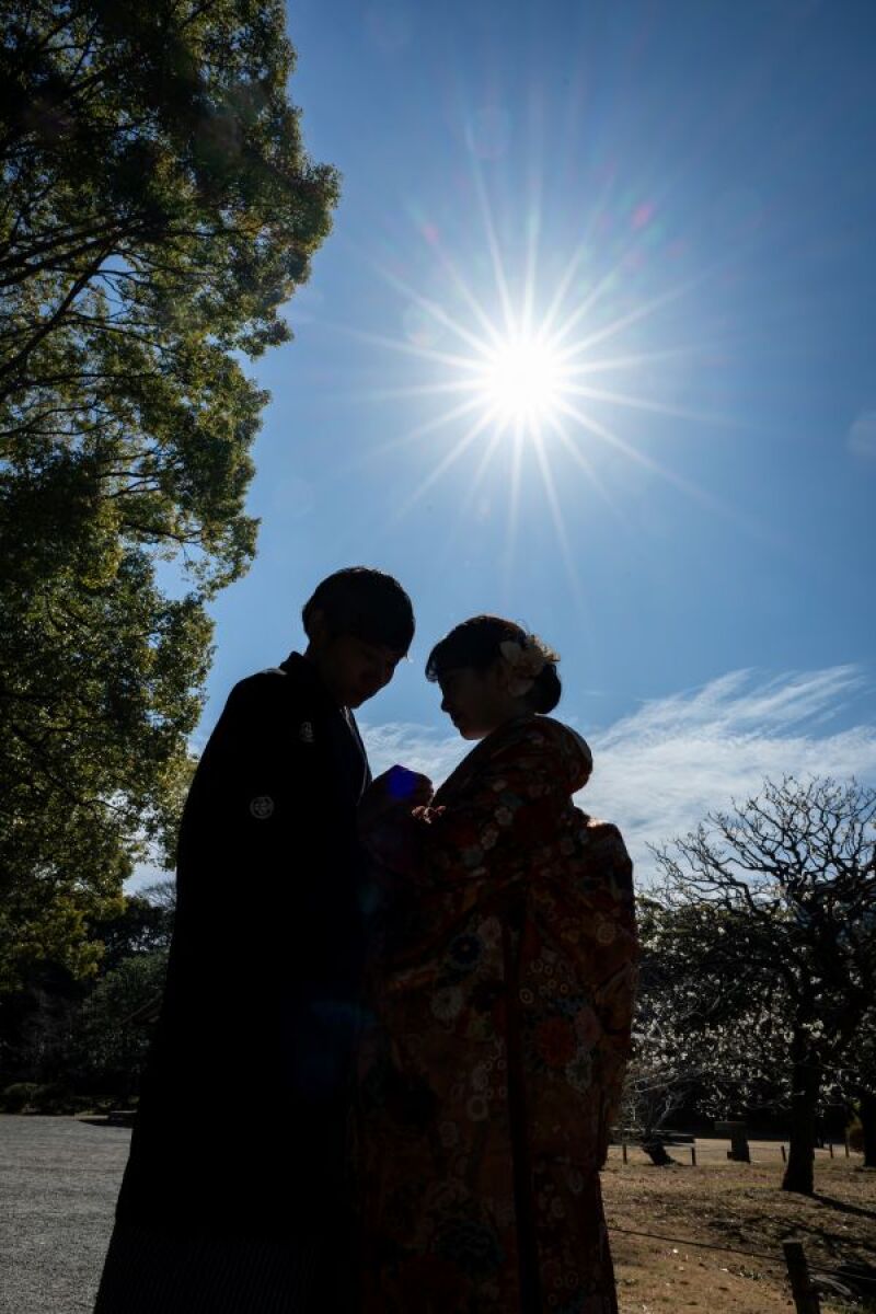 シルエットショット