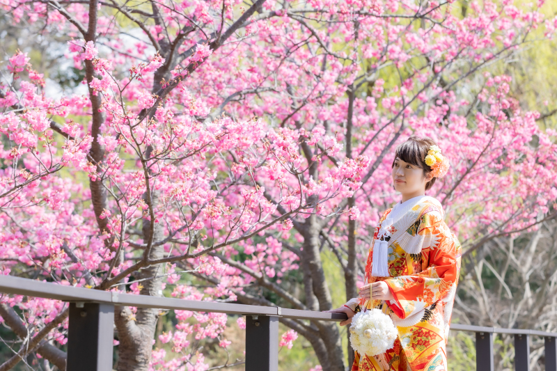 様々な種類の桜