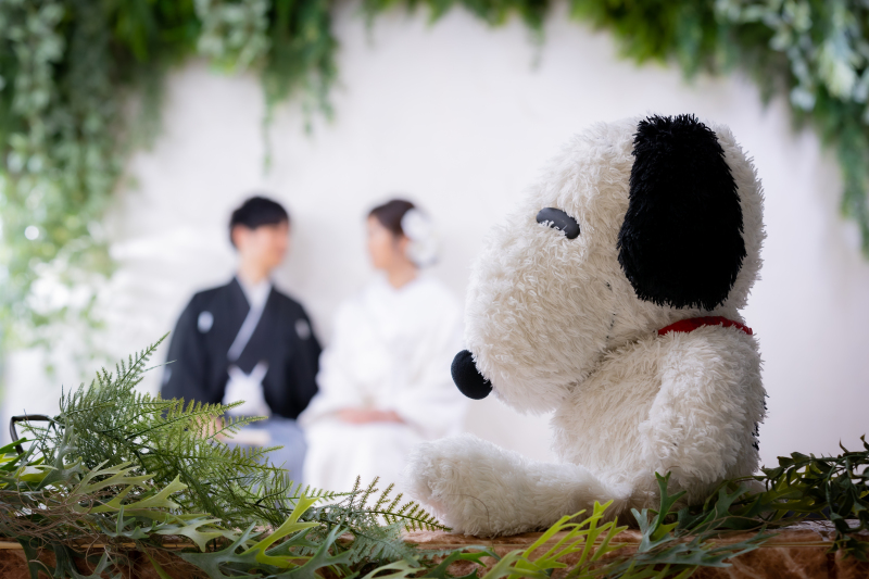 かわいい、小物を使用しての撮影