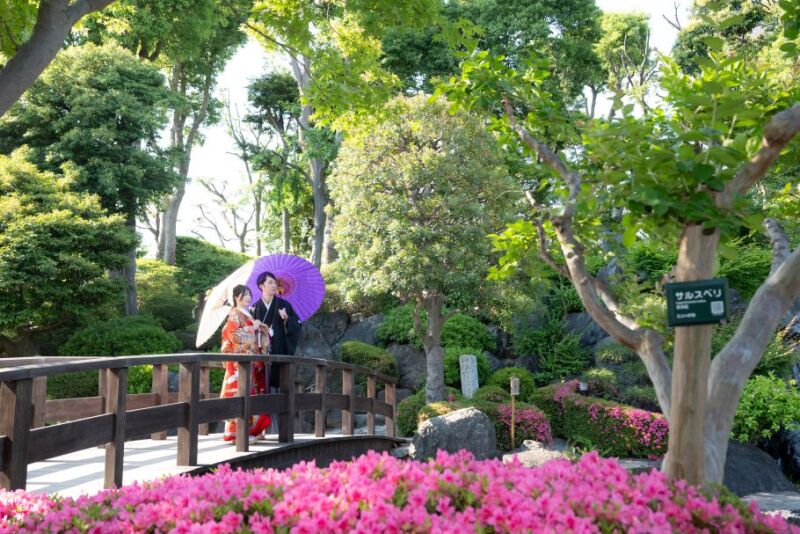 園内は様々な撮影スポットがあります