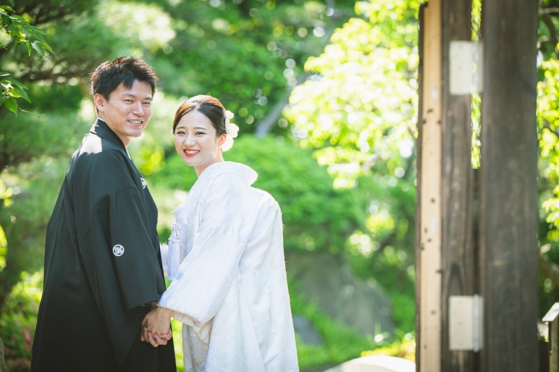 新緑の綺麗な時期の撮影