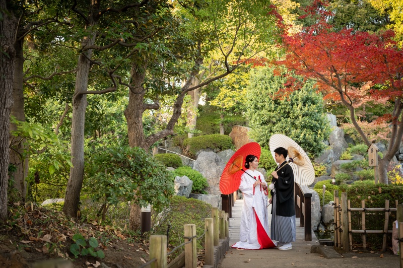 紅葉の季節の撮影