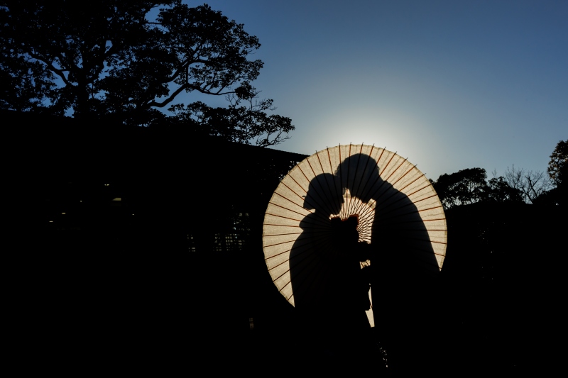 影絵みたいなお写真