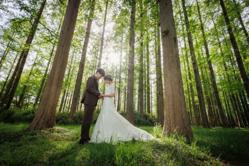 光りさす木立の中で