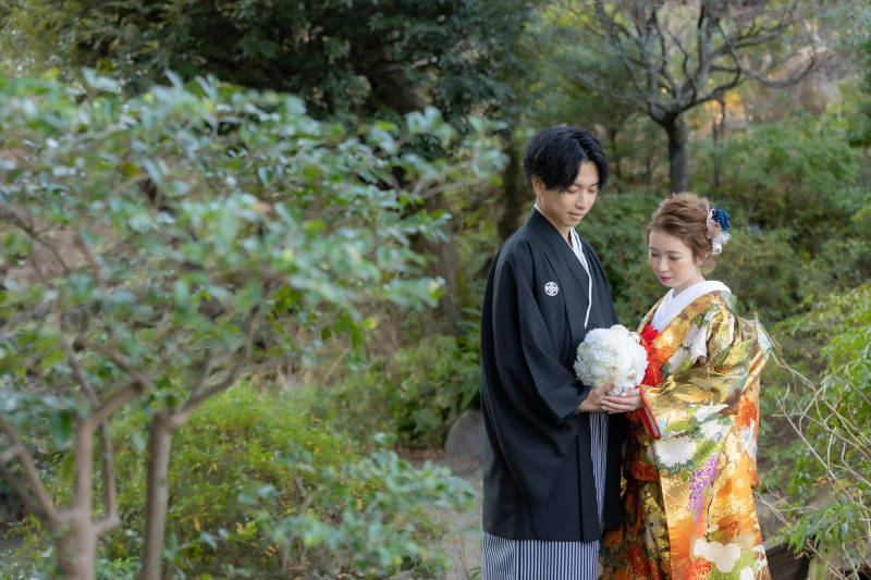 冬の撮影でも緑は有りますのでご安心ください。