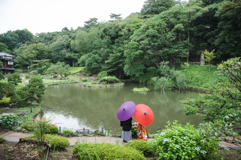 『THE・日本庭園!』って感じの日本庭園です。