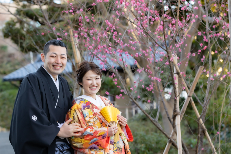 梅の花が咲き始めました