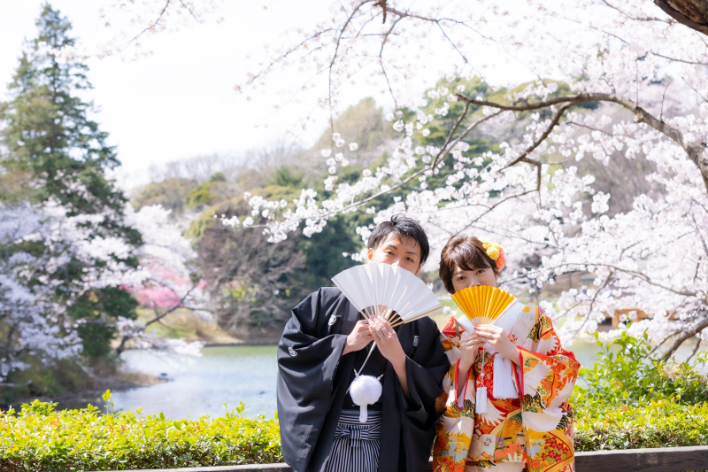 桜の季節の撮影