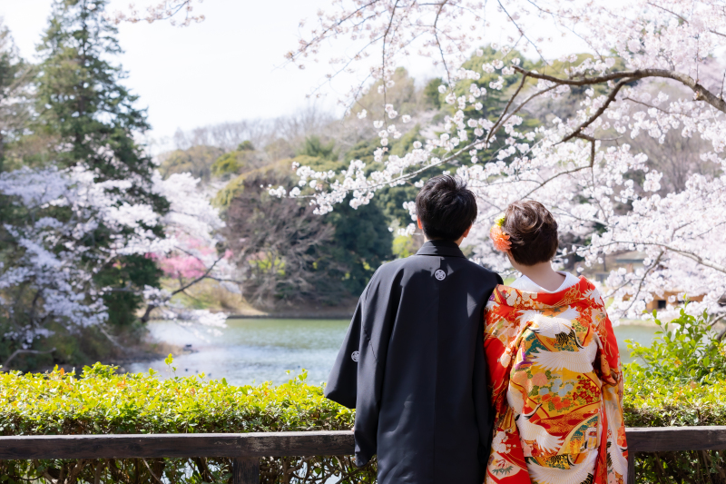 園内は桜が約1000本!!