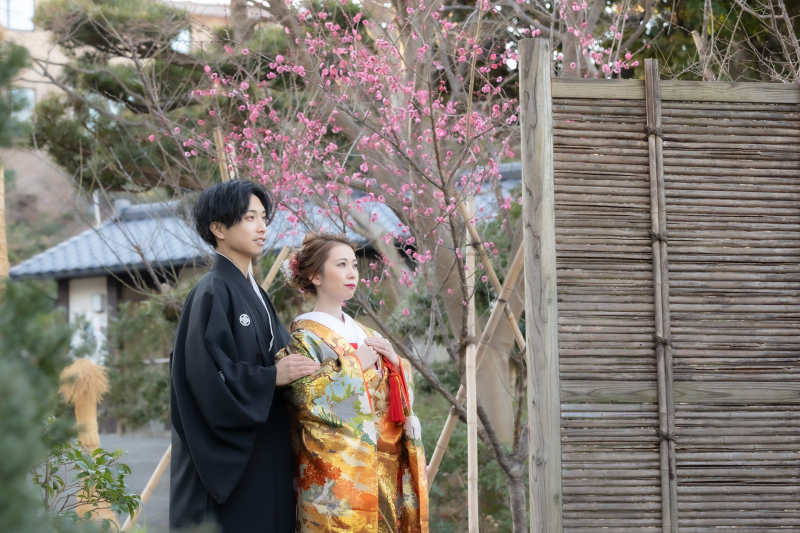 紅梅が咲き始めています。