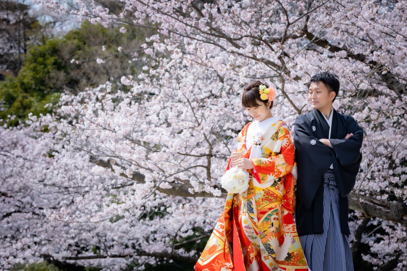 桜をバックに撮影