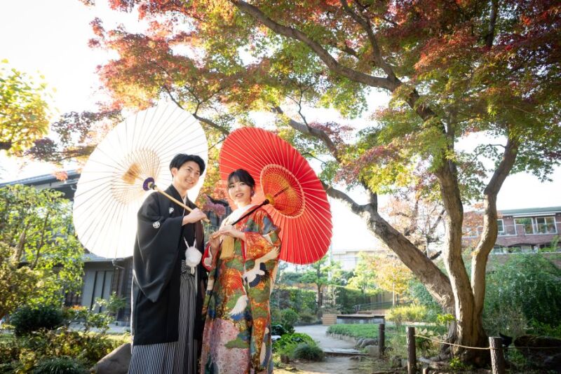 色どり豊かな木々と