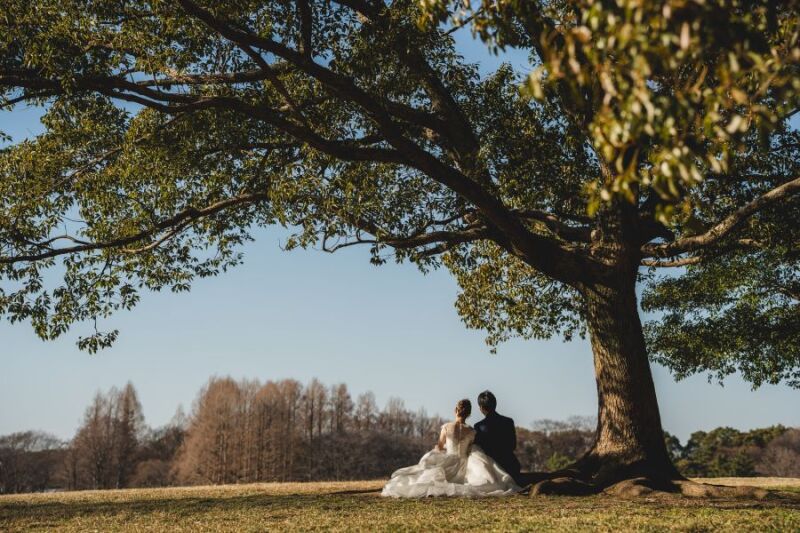 大きな木の下で
