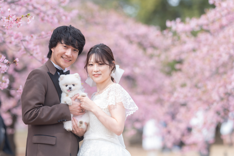 代々木公園も河津桜と