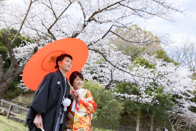 桜の名所での撮影