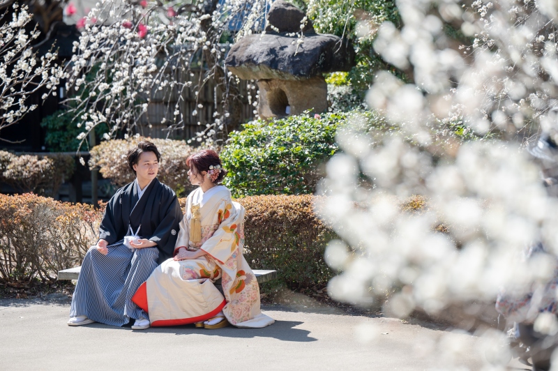 梅の花は花持ちが長いです。