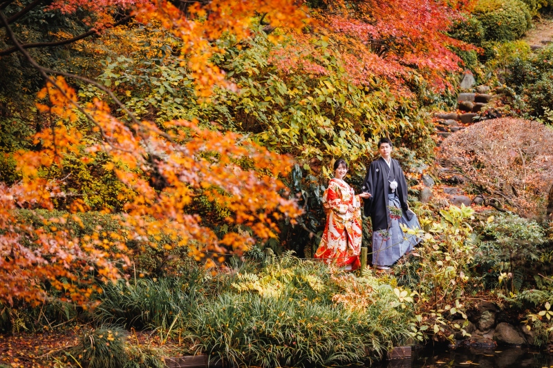 まだまだ、紅葉が綺麗です。